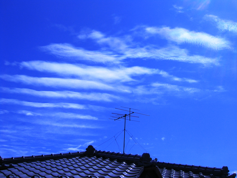 いわし雲1.jpg
